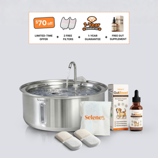 The Gut Health Bundle