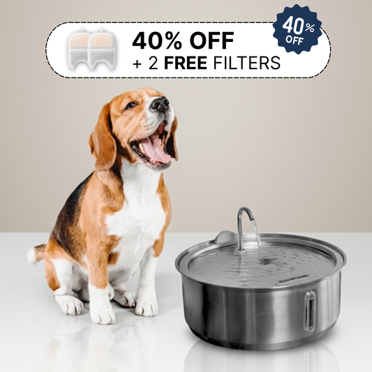 The Doggy Fountain™