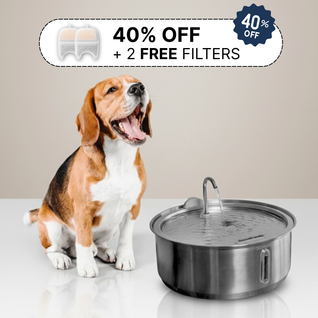 The Doggy Fountain ™