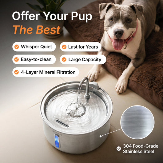 Doggy Fountain™ - The Complete Set