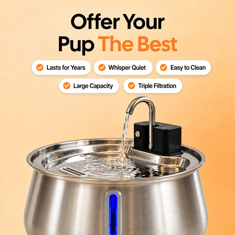 The Doggy Fountain™