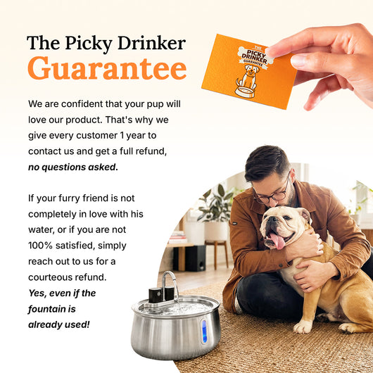 Wireless Fountain™ - The Twin Bundle