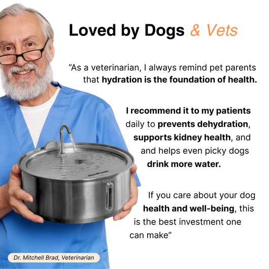 The Doggy Fountain™
