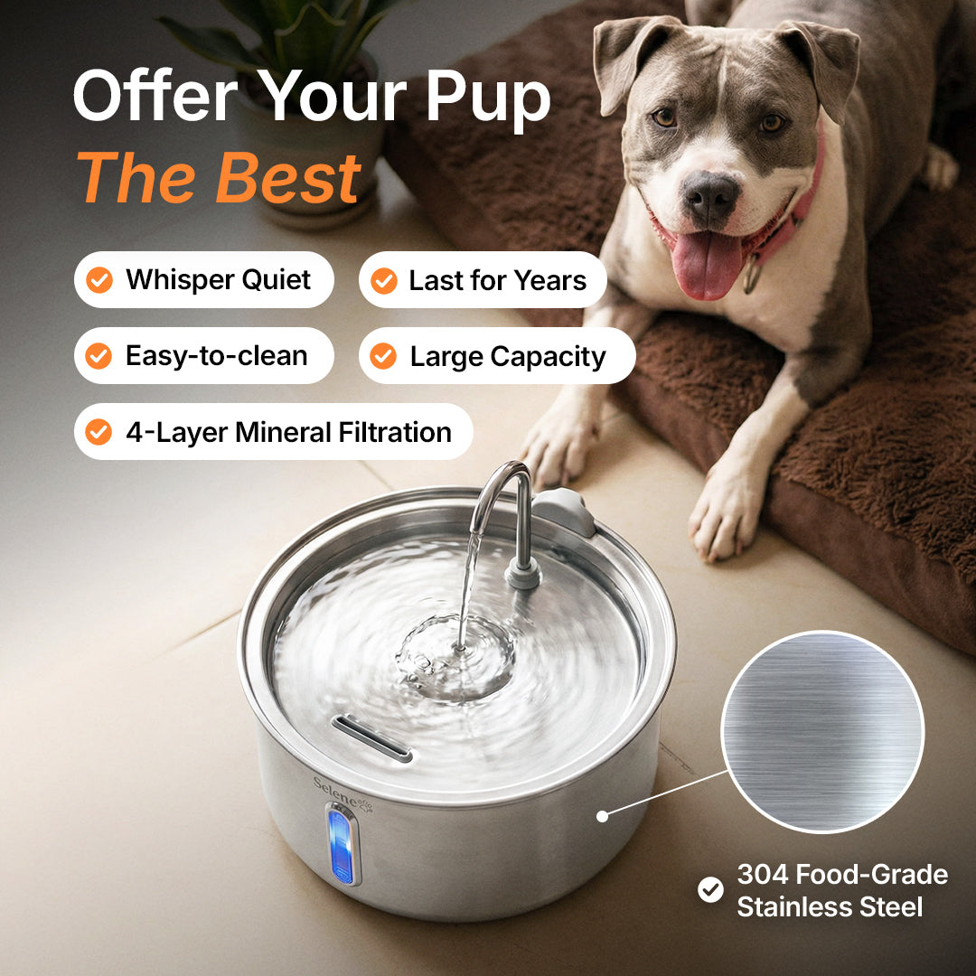 plug-in 7l capacity without dental boost