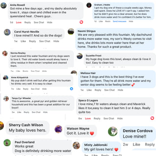 The Doggy Fountain™