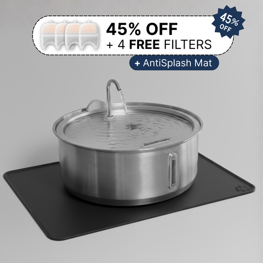 Doggy Fountain Complete Set