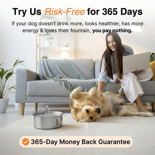 The Doggy Fountain ™