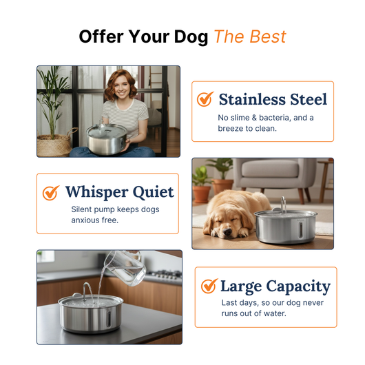 The Doggy Fountain™