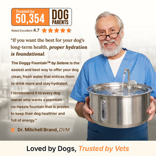 The Doggy Fountain™