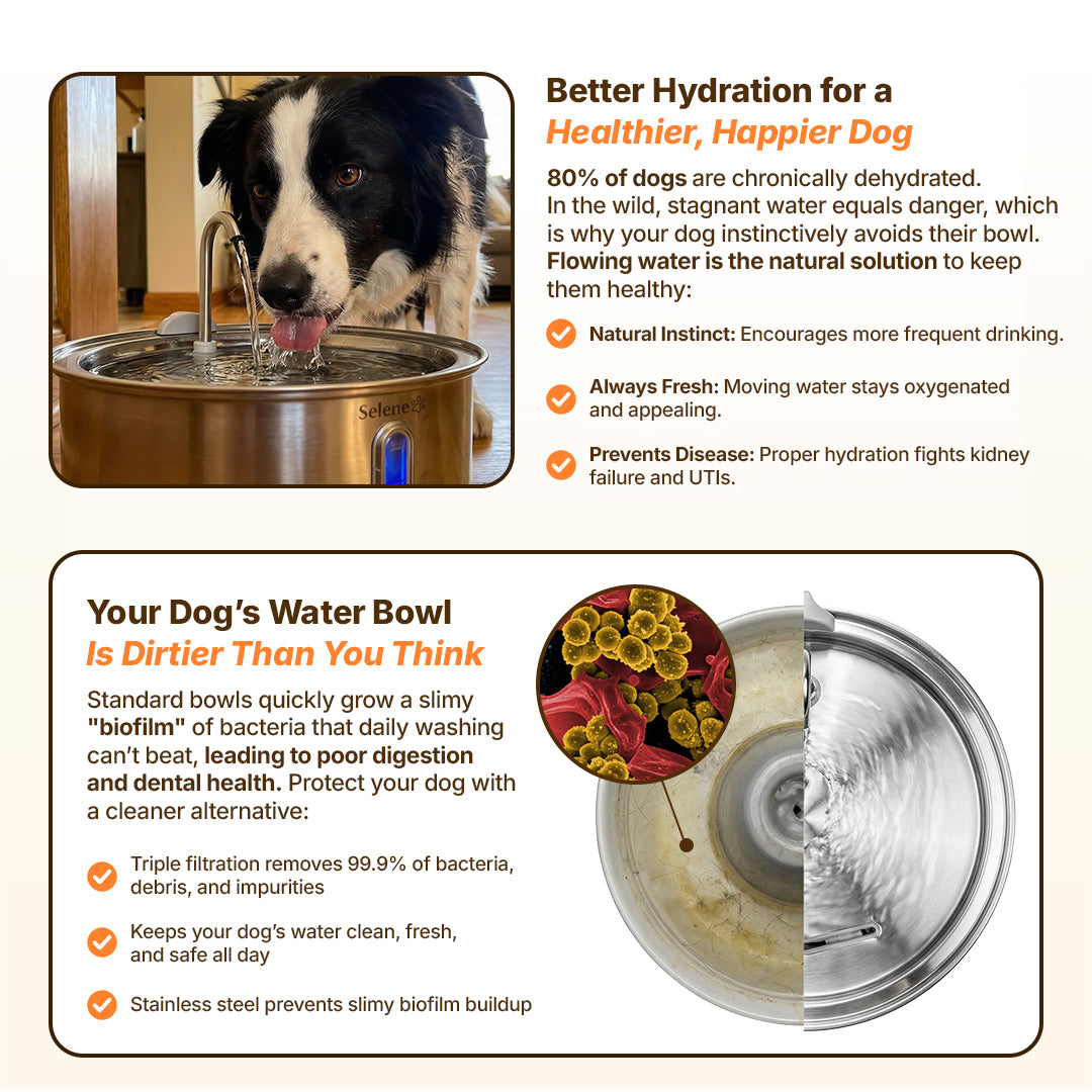 plug-in 7l capacity plug-in 4l capacity