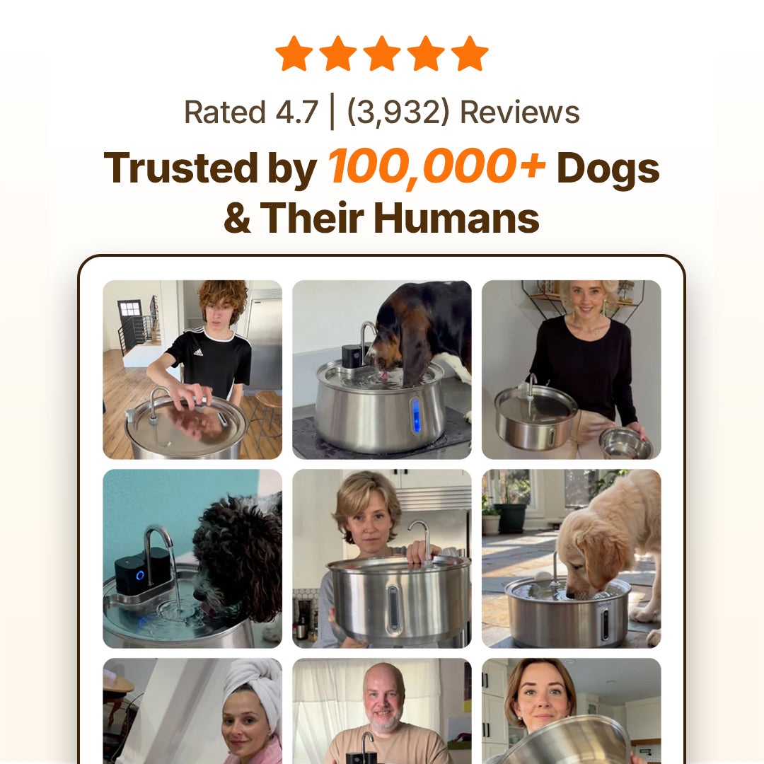 plug-in 7l capacity plug-in 4l capacity