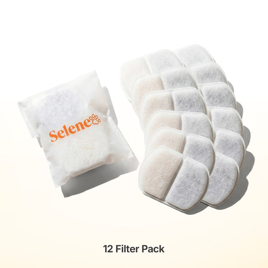 6-Month Supply • 12 Filters