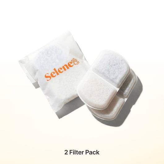 2 Extra Fountain Filters