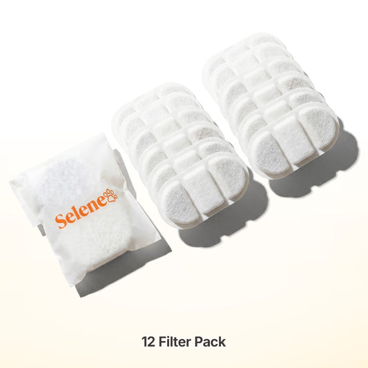6-Month Supply • 12 Wireless Filters