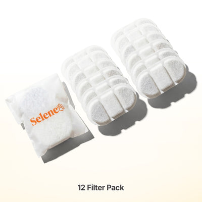 6-Month Supply • 12 Wireless Filters