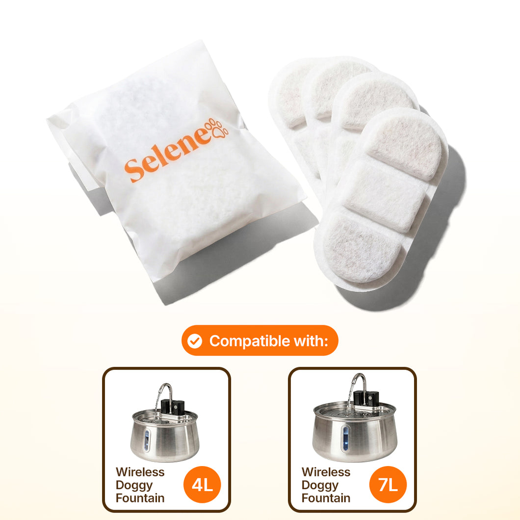 Wireless Fountain Filters – Selene