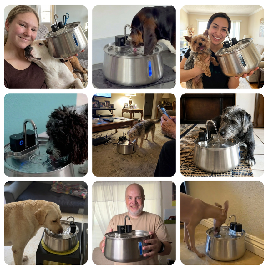 Happy customers using the Wireless Doggy Stream
