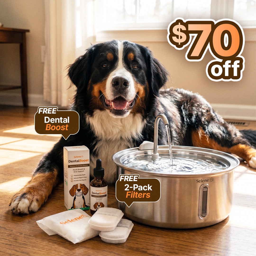 plug-in 7l capacity with dental boost