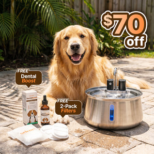 Wireless Doggy Fountain™