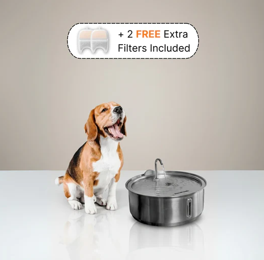 The Doggy Fountain ™