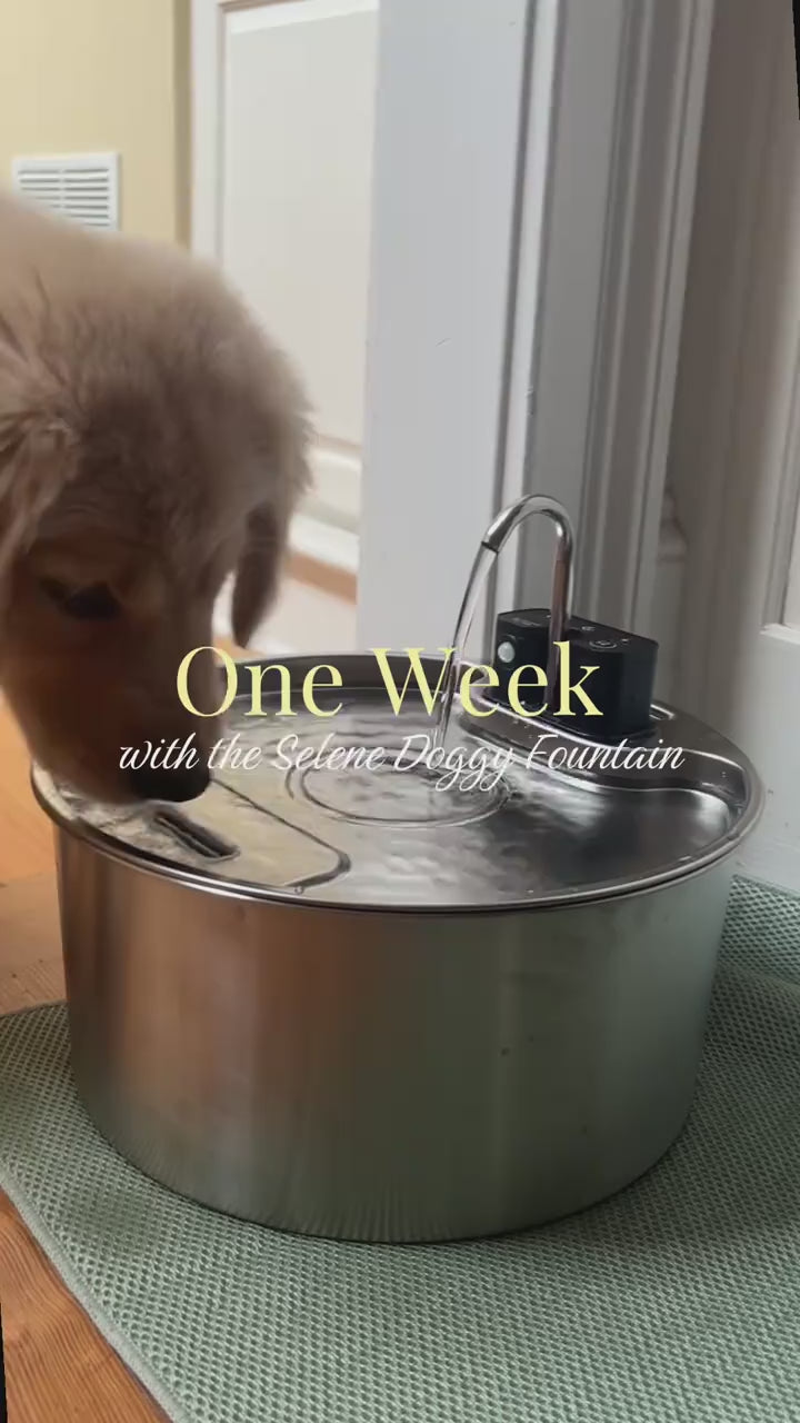 Customer story video